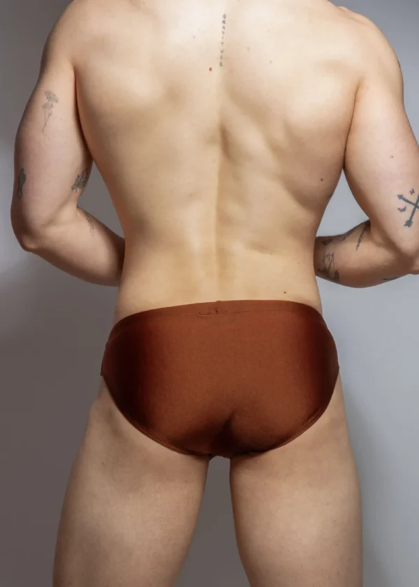 Shiny brown swimsuit