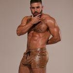 Short metálico Marrón