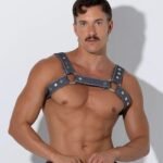 Harness denim gris
